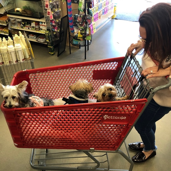 Meet your Posher, Joanna - Picture 12 of 14